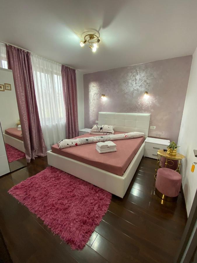 Pensiunea Alexia Hotel Novaci-Straini Room photo